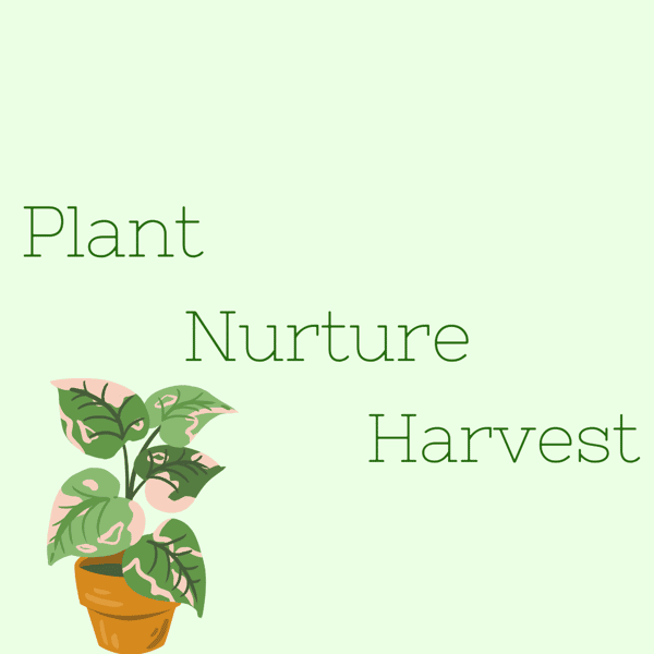 Plant, Nurture, Harvest